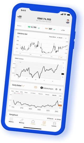 Pillar Anlagholm digital web application on mobile device